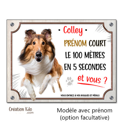 Plaque humour Colley Attention au chien Je cours le 100 mètres Panneau portail