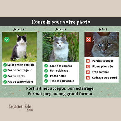 Attention au chat Plaque avec votre photo modèle refermer la porte Panneau