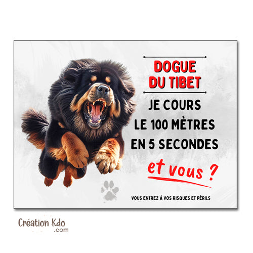 plaque dogue du tibet je cours le 100 mètres panneau attention au chien