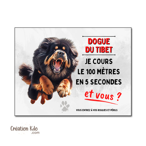 plaque dogue du tibet je cours le 100 mètres panneau attention au chien monte la garde