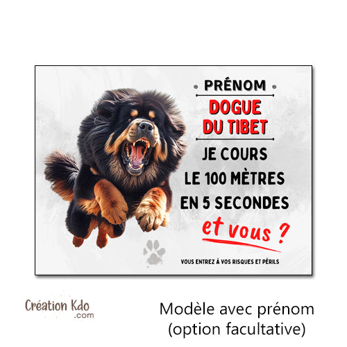 plaque dogue du tibet je cours le 100 mètres panneau attention au chien je monte la garde