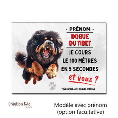 plaque dogue du tibet je cours le 100 mètres panneau attention au chien je monte la garde