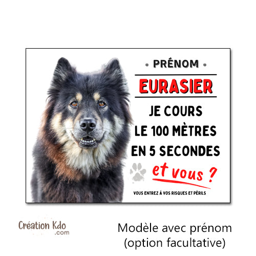 Plaque Eurasier Je cours le 100 mètres humour Panneau portail (pelage noir et feu) personnalisé monte la garde