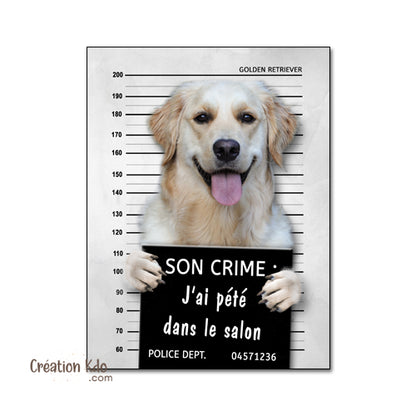 Plaque humour prisonnier chien Golden Retriever poste de police Panneau identité criminelle