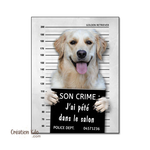 Plaque humour prisonnier chien Golden Retriever poste de police Panneau identité criminelle