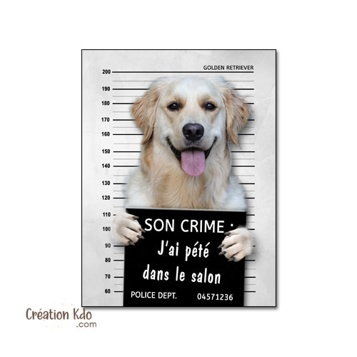 Plaque humour prisonnier chien Golden Retriever poste de police Panneau identité criminelle