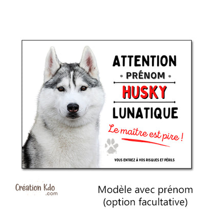 je monte la garde lunatique husky