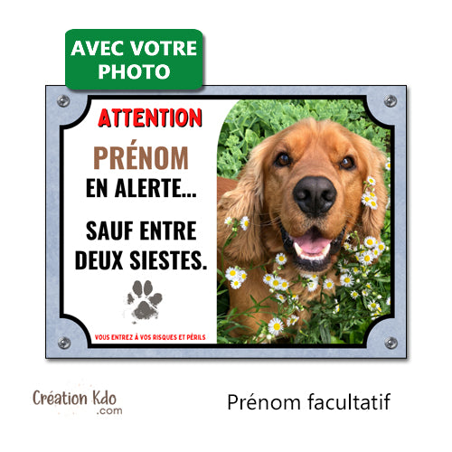 plaque photo personnalisée chien en alerte panneau humour monte la garde pancarte