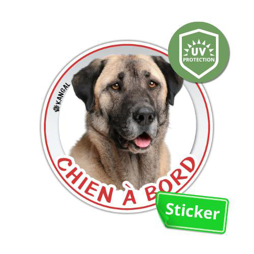 sticker rond kangal berger Anatolie à bord autocollant voiture disque photo chien