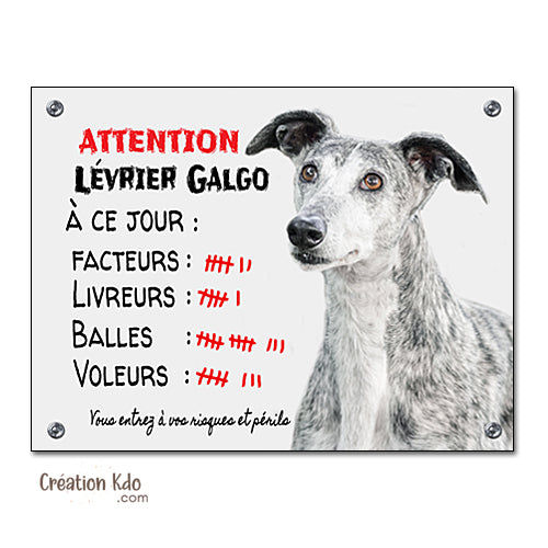 Plaque humour Attention au chien Lévrier Espagnol Galgo à ce jour Panneau