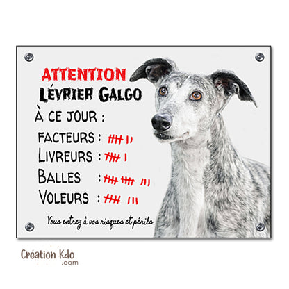 Plaque humour Attention au chien Lévrier Espagnol Galgo à ce jour Panneau