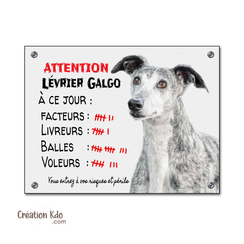 Plaque humour Attention au chien Lévrier Espagnol Galgo à ce jour Panneau