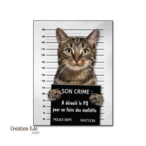 plaque humour chat prisonnier panneau