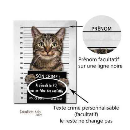 plaque humour chat prisonnier panneau