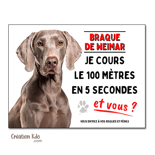 Plaque humour chien Braque de Weimar Je cours le 100 mètres panneau portail