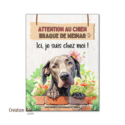 Plaque Attention au chien Braque de Weimar mignon panneau Ici, je suis chez moi