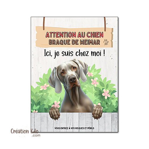 Plaque Braque de Weimar Attention au chien panneau Ici, je suis chez moi