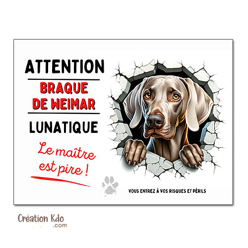 Plaque Braque de Weimar lunatique Attention au chien panneau portail