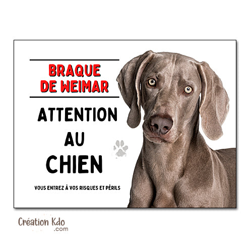 Plaque Attention au chien Braque de Weimar panneau
