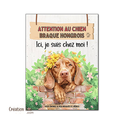 Plaque Attention au chien Ici, je suis chez moi Braque Hongrois (Vizsla)