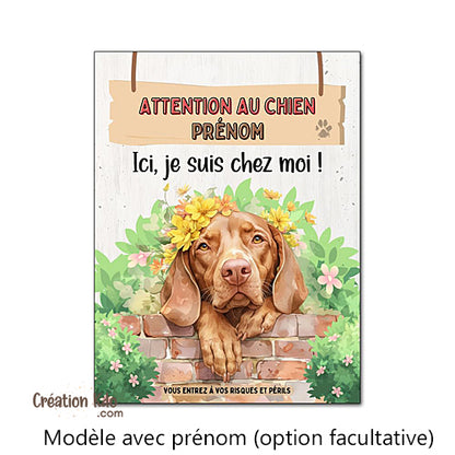 Plaque Attention au chien Ici, je suis chez moi Braque Hongrois (Vizsla)
