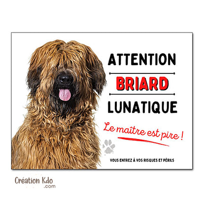 Plaque Briard lunatique (fauve) Panneau portail attention au chien drôle