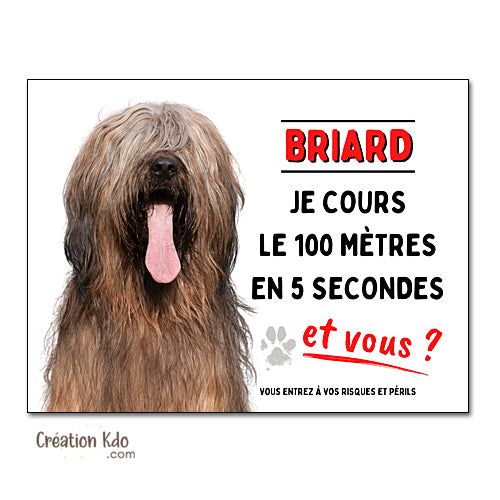 Plaque chien Attention Briard Je cours le 100 mètres (fauve) Panneau