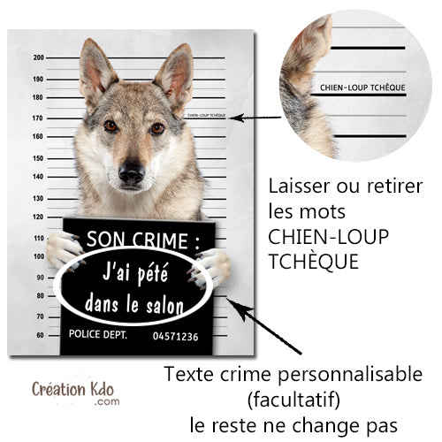 Mugshot personnalisé
