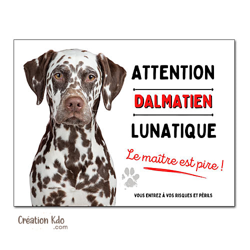 Plaque Dalmatien marron lunatique Panneau drôle attention au chien portail