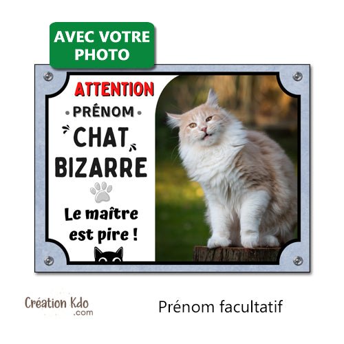 plaque attention chat bizarre humour le maitre est pire panneau portail personnalisé photo
