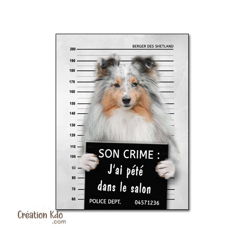 berger des shetland panneau attention au chien plaque je monte la garde pancarte
