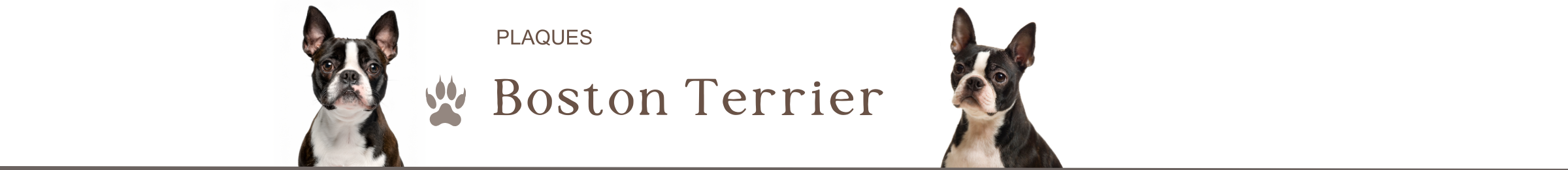 panneaux boston terrier je monte la garde plaque attention au chien pancarte portail