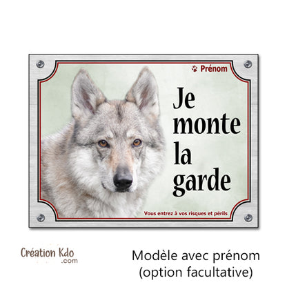 chien loup tchèque