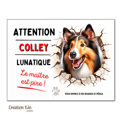 Plaque Colley Panneau humour chien lunatique le maître est pire