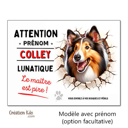 Plaque Colley Panneau humour chien lunatique le maître est pire