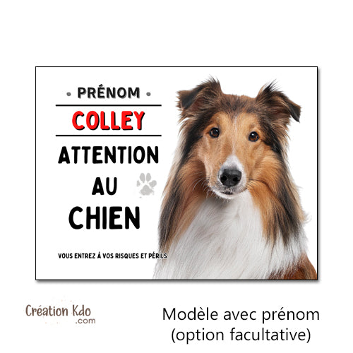 panneaux chien colley lassie