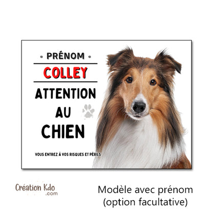 panneaux chien colley lassie