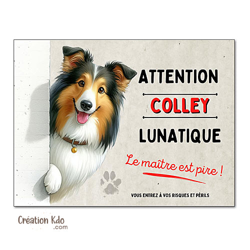 Plaque Colley Panneau mignon humour chien lunatique le maître est pire déco portail