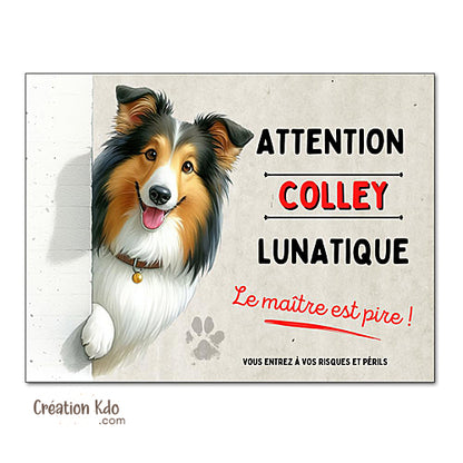 Plaque Colley Panneau mignon humour chien lunatique le maître est pire déco portail