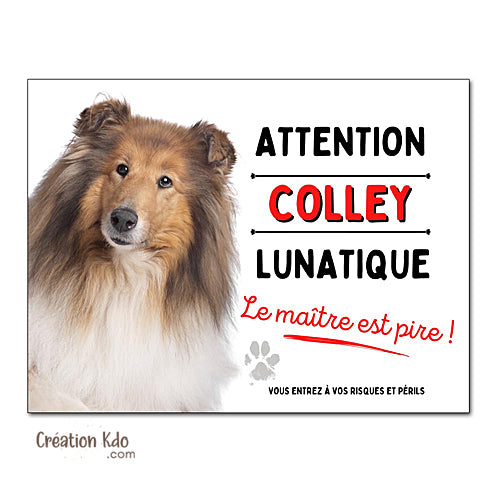 Plaque Colley Panneau humour chien lunatique le maître est pire !