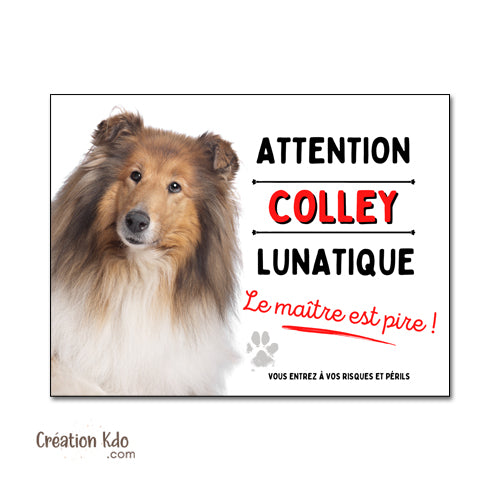 Plaque Colley Panneau humour chien lunatique le maître est pire ! panneau monte la garde portail