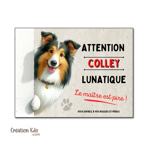 Plaque Colley Panneau mignon humour chien lunatique le maître est pire déco portail