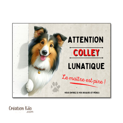 Plaque Colley Panneau mignon humour chien lunatique le maître est pire déco portail