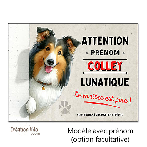 Plaque Colley Panneau mignon humour chien lunatique le maître est pire déco portail
