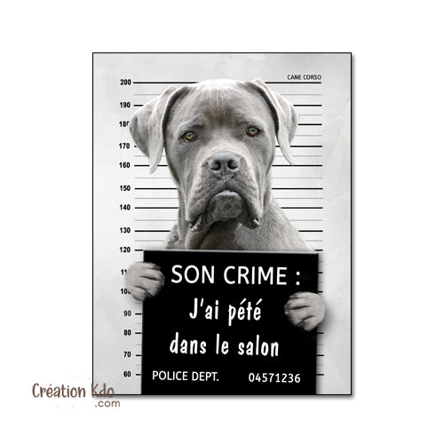 Plaque humour prisonnier chien Cane Corso gris poste de police Panneau identité criminelle