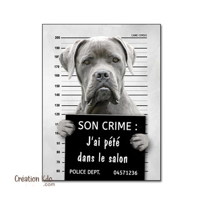 Plaque humour prisonnier chien Cane Corso gris poste de police Panneau identité criminelle