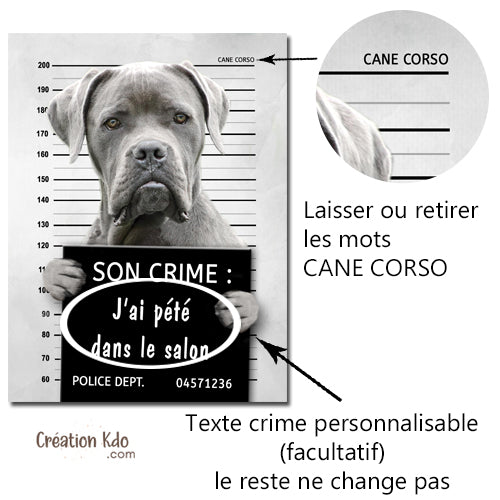 Plaque humour prisonnier chien Cane Corso gris poste de police Panneau identité criminelle