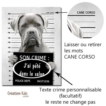 Plaque humour prisonnier chien Cane Corso gris poste de police Panneau identité criminelle