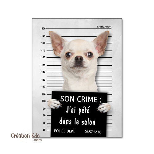 Plaque humour prisonnier chien Chihuahua poste de police Panneau identité criminelle