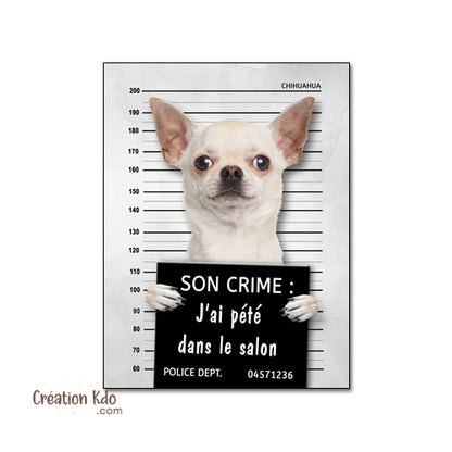 Plaque humour prisonnier chien Chihuahua poste de police Panneau identité criminelle